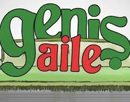 Geniş Aile sezon finali izle