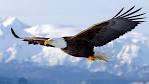 aigle pronunciation