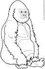 Gorilla coloring page