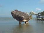SANDAKAN" aka The Little Hong Kong | Sandakan (The Little HongKong ...