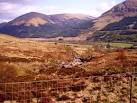 Quoting from a notice here: "This fence has been erected to allow a variety - via Daymix
