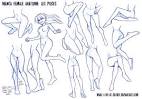  Manga Female Leg Poses by *what-i-do-is-secret on deviant ART