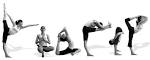 http://organicyoganow.com/wp-content/uploads/2011/03/bikram-poses1.jpg