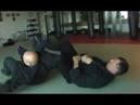 Bujutsu