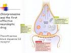 Schizophrenia.com - How Chlorpromazine Works