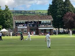 Image result for Ammanford Cricket Club
