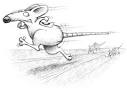 Rat Race