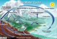 Water Cycle Song