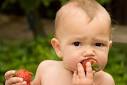 baby food this summer?