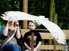 "Hedwig", a young male (gender - via Daymix