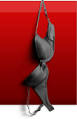 bra.png