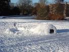 Igloo on Derwent Lawns - via Daymix