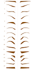 Step by step into english in English: Eyebrows/الحواجب/眉毛(