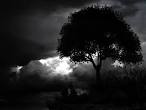 ain't no sunshine « AimlessMusings2010