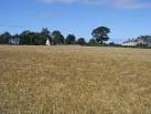 near to Kirkton of Craig, Angus, Great Britain - via Daymix