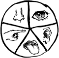 http://sivers.org/images/touch-all-senses.gif
