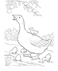 Goose coloring page