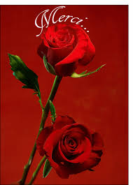 Résultat de recherche d'images pour "une rose"