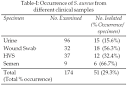  Antibiotic sensitivity pattern of staphylococcus aureus in ... 