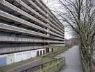 concrete's just too grey - boring) and/or a mercenary council, - via Daymix