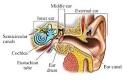 Eustachian tube definition - Good Dive.