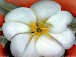 My Free Wallpapers - Artistic Wallpaper : Georgia O\'Keeffe ...