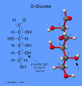 Carbohydrates - Glucose