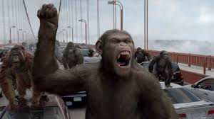 فيلم الأكشن  الرهيب Rise Of The Apes 2011 Images?q=tbn:ANd9GcQaofyP0KyoOvxDwFi-xGp-e6xwXbsnVC6CgBbwNRuubYSjcPhgsssZrVVoSw