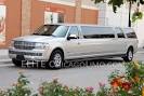 Chicago Limo - Elite Chicago Limousine Service Chicago Loves!