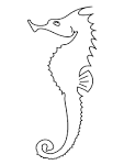 Colorear animales marinos | Caballito de mar | Dibujos para ...