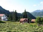 Paraul Rece Resort (in English - Cold Stream Resort), Romania ...