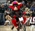NBA Basketball Mascots: Chicago BULLS Mascot Benny the Bull Pictures