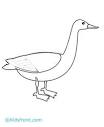 Goose coloring page