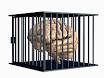 HowStuffWorks "How Brainwashing Works"