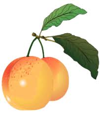 PUNCH LORRAIN dans Apéro