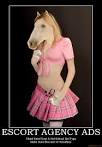 Facebook comments for horse face