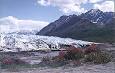 Tundra Rose Guest Cottages
