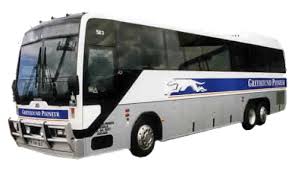 images?q=tbn:ANd9GcQbziLJ1HFBCtwfzr8FSYbonKn_Xoi3Nua7e2Nf0x768pmiEXJJ