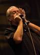 Charlie Musselwhite | Free Music, Tour Dates, Photos, Videos