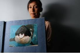 Marineland sues former trainer Christine Santos for $1.25 million ... - christinesantos.jpeg.size.xxlarge.letterbox