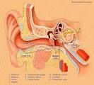 Hyperacusis