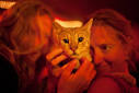 Arias has a Savannah cat,
