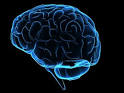 HowStuffWorks "What is deja vu?"