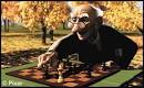 Chess Graphics : Geri's Game
