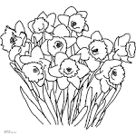 Flowers coloring page