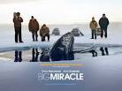 Big Miracle