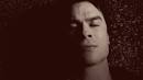 dean sam damon elena cat gif