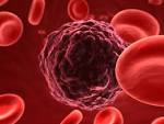 FDA: Your Stem Cells are a 'Drug' & We Can Regulate Their Use The ...