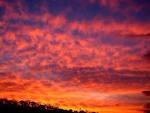 File:Crimson sunset.jpg - Wikimedia Commons