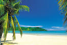 http://www.costaricatrees.com/wp-content/uploads/2010/10/9_fl_costa_rica.jpg